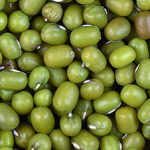 mungbeans2